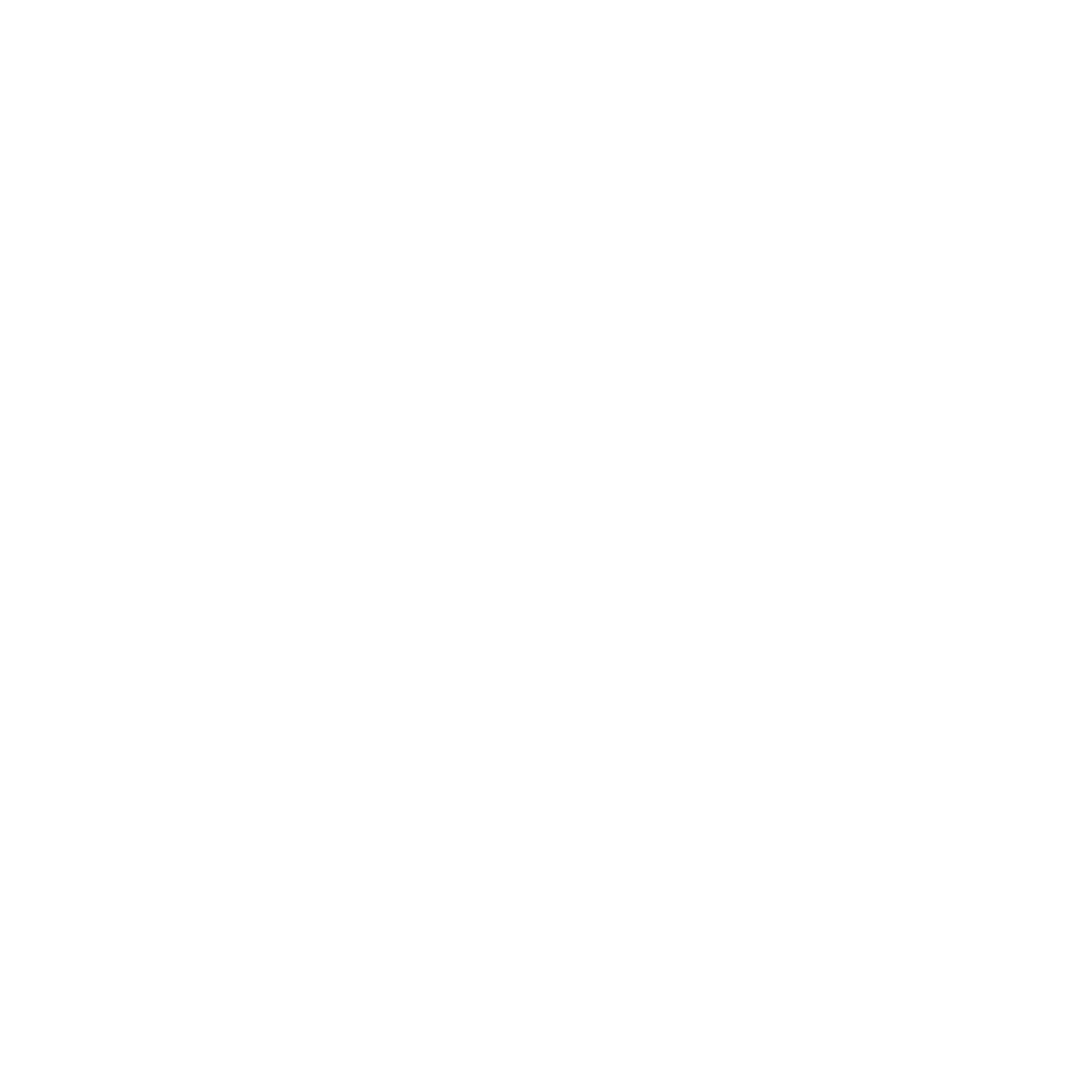ADJUSTABLE BACKLIGHT